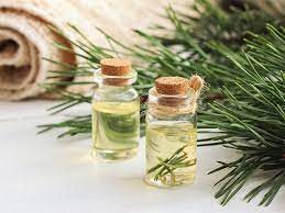 Lets talk Pine Essential Oil benefits and where to find it